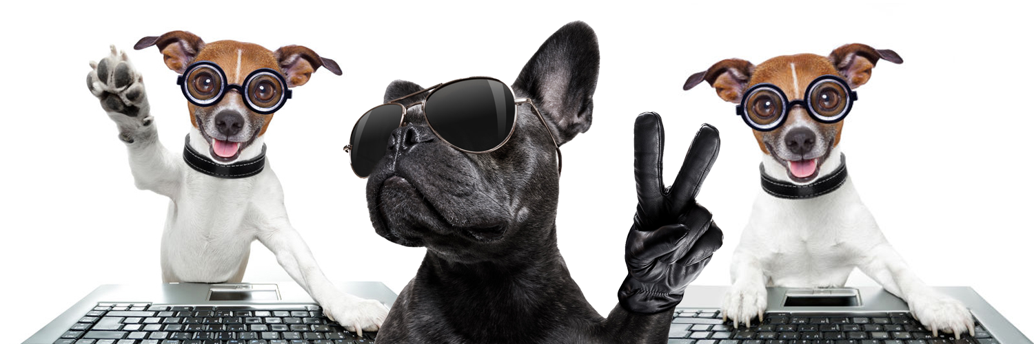 Cool Dogs