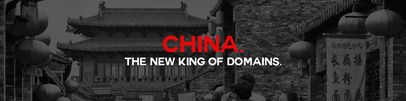 China Domain Name King